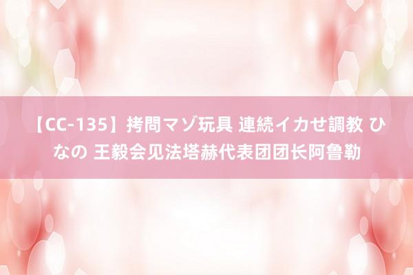 【CC-135】拷問マゾ玩具 連続イカせ調教 ひなの 王毅会见法塔赫代表团团长阿鲁勒