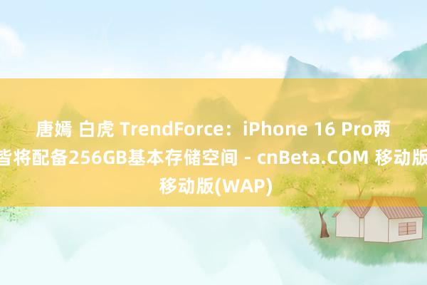 唐嫣 白虎 TrendForce：iPhone 16 Pro两款机型皆将配备256GB基本存储空间 - cnBeta.COM 移动版(WAP)