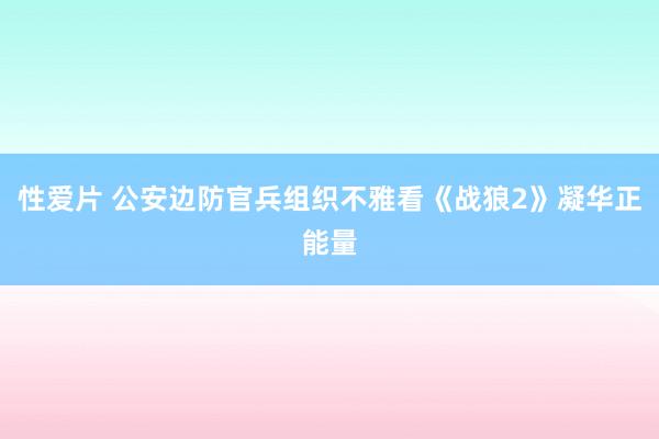 性爱片 公安边防官兵组织不雅看《战狼2》凝华正能量