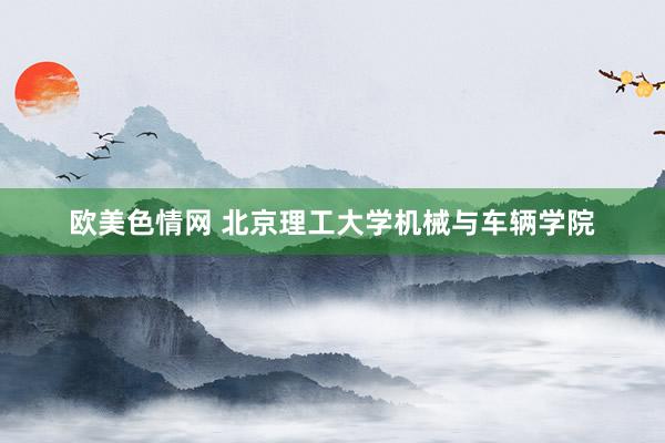 欧美色情网 北京理工大学机械与车辆学院