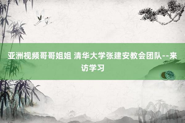 亚洲视频哥哥姐姐 清华大学张建安教会团队--来访学习