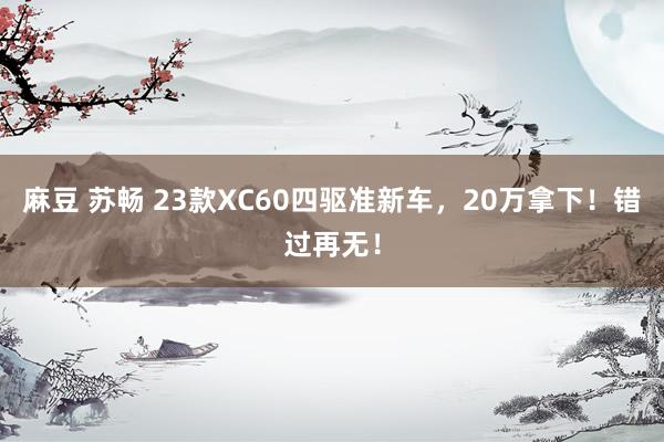 麻豆 苏畅 23款XC60四驱准新车，20万拿下！错过再无！