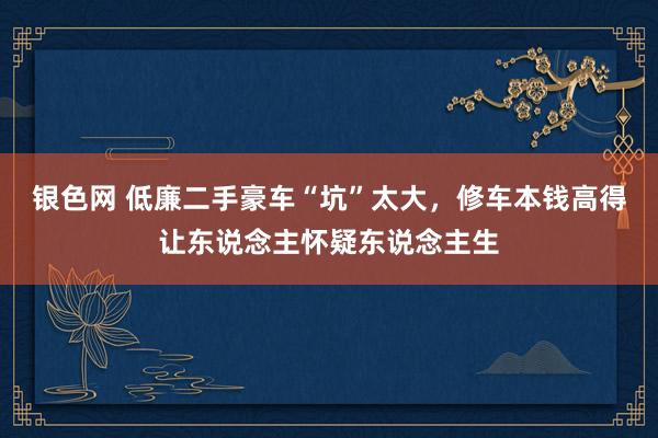 银色网 低廉二手豪车“坑”太大，修车本钱高得让东说念主怀疑东说念主生