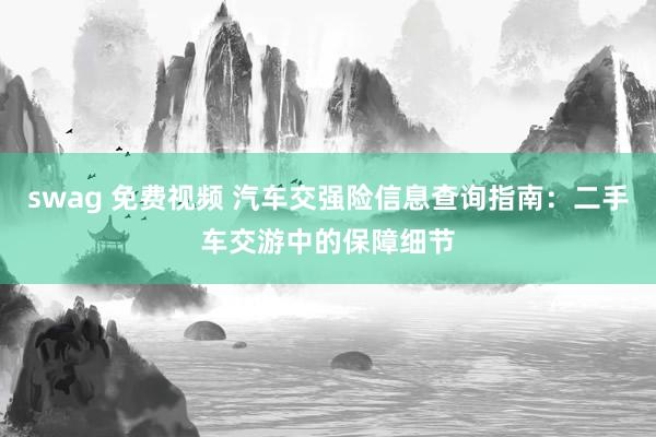 swag 免费视频 汽车交强险信息查询指南：二手车交游中的保障细节