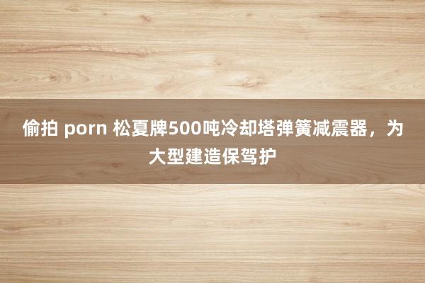 偷拍 porn 松夏牌500吨冷却塔弹簧减震器，为大型建造保驾护