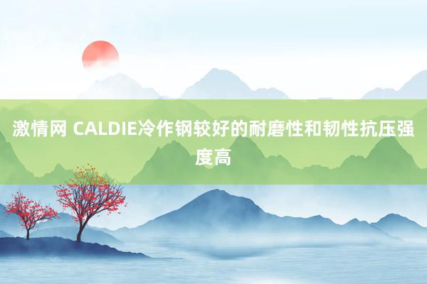激情网 CALDIE冷作钢较好的耐磨性和韧性抗压强度高