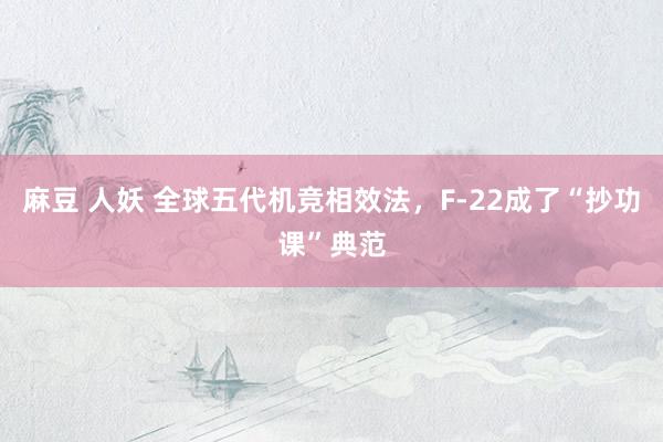 麻豆 人妖 全球五代机竞相效法，F-22成了“抄功课”典范