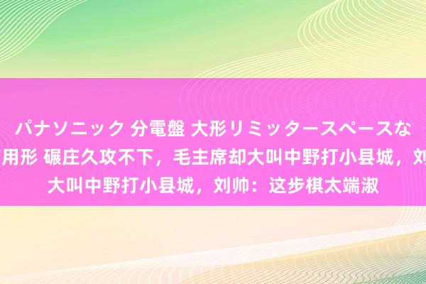 パナソニック 分電盤 大形リミッタースペースなし 露出・半埋込両用形 碾庄久攻不下，毛主席却大叫中野打小县城，刘帅：这步棋太端淑