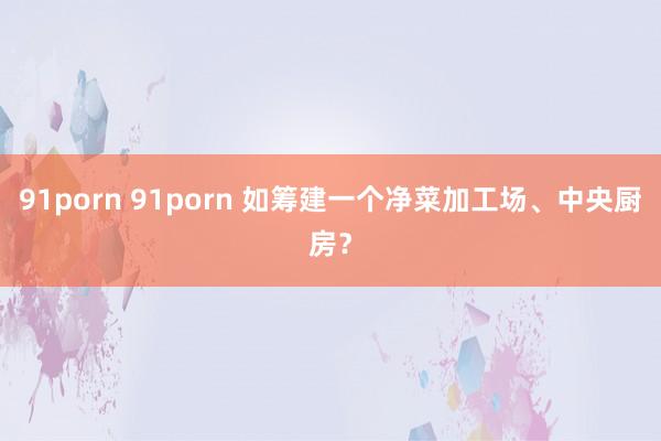 91porn 91porn 如筹建一个净菜加工场、中央厨房？
