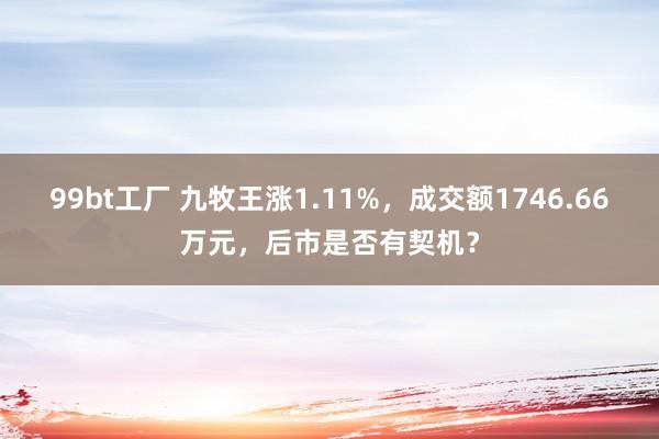 99bt工厂 九牧王涨1.11%，成交额1746.66万元，后市是否有契机？