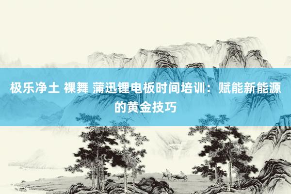 极乐净土 裸舞 蒲迅锂电板时间培训：赋能新能源的黄金技巧
