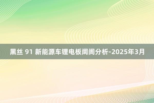 黑丝 91 新能源车锂电板阛阓分析-2025年3月