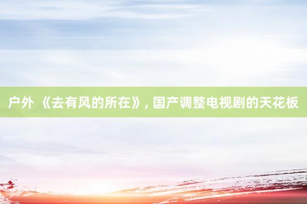 户外 《去有风的所在》, 国产调整电视剧的天花板