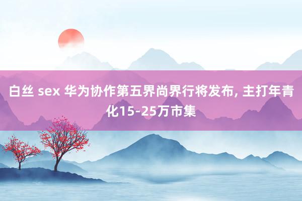 白丝 sex 华为协作第五界尚界行将发布, 主打年青化15-25万市集