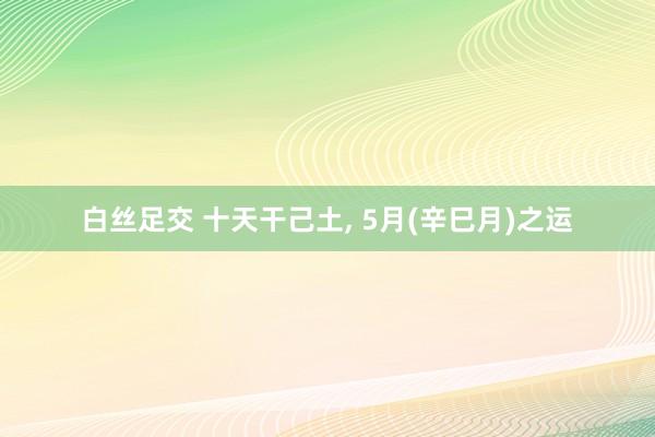 白丝足交 十天干己土, 5月(辛巳月)之运