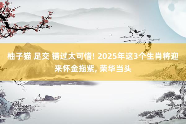 柚子猫 足交 错过太可惜! 2025年这3个生肖将迎来怀金拖紫, 荣华当头