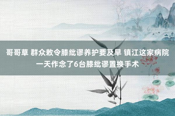 哥哥草 群众敕令膝纰谬养护要及早 镇江这家病院一天作念了6台膝纰谬置换手术