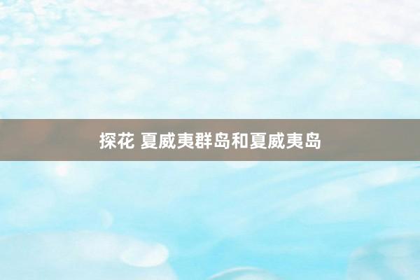 探花 夏威夷群岛和夏威夷岛