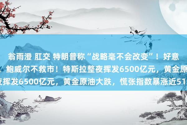 翁雨澄 肛交 特朗普称“战略毫不会改变”！好意思股2天暴跌47万亿元，鲍威尔不救市！特斯拉整夜挥发6500亿元，黄金原油大跌，慌张指数暴涨近51%
