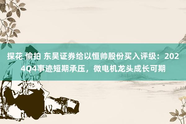 探花 偷拍 东吴证券给以恒帅股份买入评级：2024Q4事迹短期承压，微电机龙头成长可期